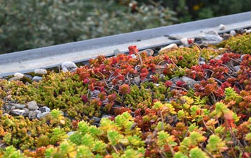 the cost of Whitehead green roof installation