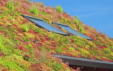 Whitehead living roof systems