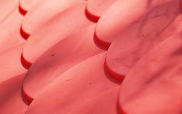 Whitehead plastic roof costs