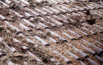 Whitehead roof cleaning companies