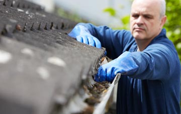 cleaning and inspecting Whitehead roofs