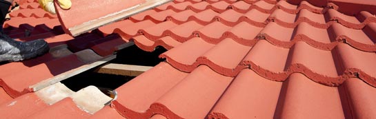 compare Whitehead roof repair quotes