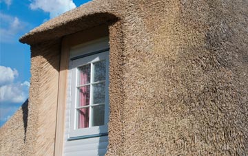 Whitehead thatch roof disadvantages