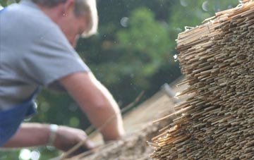 professional Whitehead thatchers