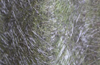 Whitehead fibreglass roof work